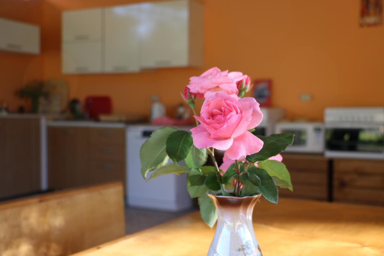 Inn Aхчыпсы Gagra Exteriér fotografie