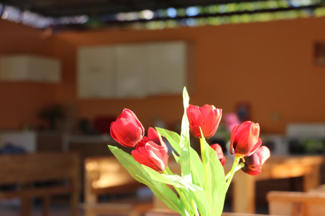 Inn Aхчыпсы Gagra Exteriér fotografie